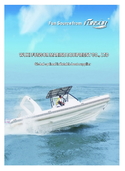 china latest news about 2020 NEW CATALOGUE OF INFLATABLE BOAT