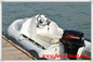 Hard Bottom JET SKI RIB Rigid Inflatable Boats Three Person Inflatable Boat supplier