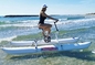 Water Bicycle With inflatable PVC tube in white color Two person supplier